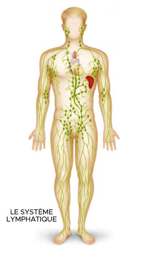 drainage lymphatique