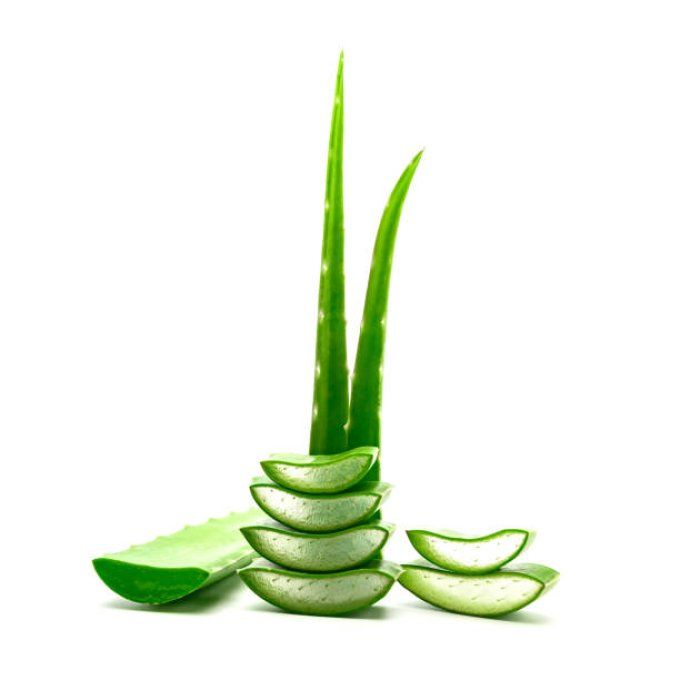 Atelier soin du visage avec aloe Vera de chez Forerver living